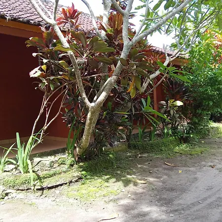 Spot On 93640 Dannis Homestay Near Musholla Al Istiqomah Terawangan